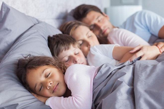 Nexus senge familie sover