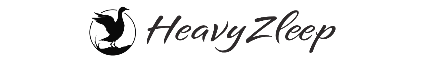 HeavyZleep logo