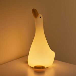 Natlampe Goose med 3 indstillinger og 30 minutters timer fra Rammelaartje